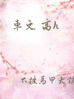 车文 高h
