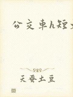 公交车h短文