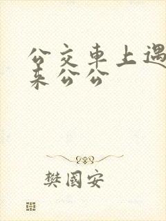 公交车上遇到未来公公