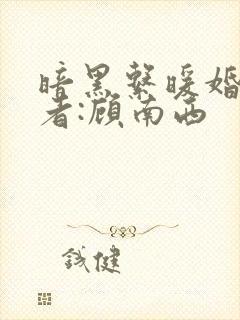 暗黑系暖婚》作者:顾南西