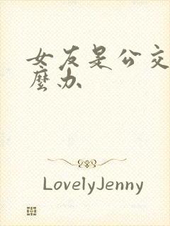 女友是公交车怎么办