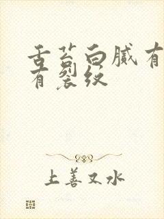 舌苔白腻有齿痕有裂纹