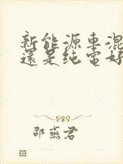 新能源车混动好还是纯电好