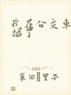 我在公交车上被插了