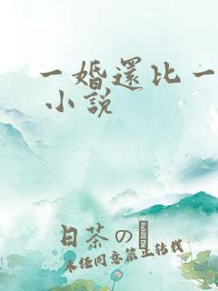 一婚还比一婚高 小说