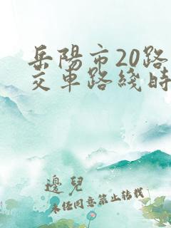 岳阳市20路公交车路线时间点