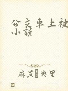 公交车上被人插小说