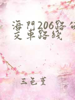 海门206路公交车路线