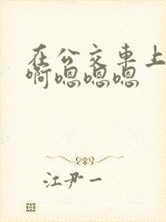 在公交车上啊啊啊嗯嗯嗯