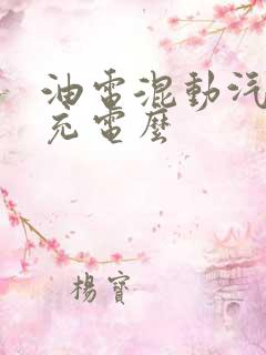 油电混动汽车用充电么
