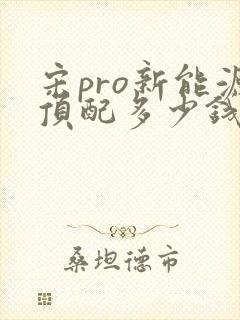 宋pro新能源顶配多少钱2024款