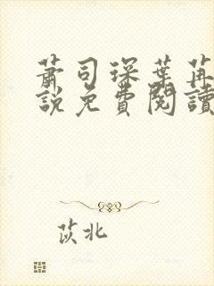 萧司琛叶苒苒小说免费阅读全文