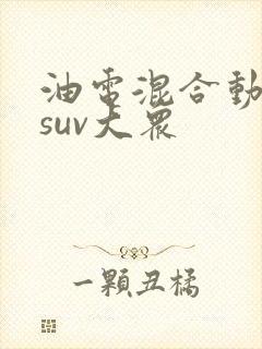 油电混合动力车suv大众