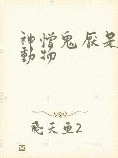 神憎鬼厌是什么动物