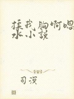 揉我胸啊嗯～出水小说