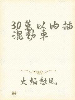 30万以内插电混动车