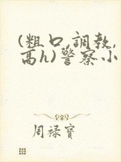 (粗口,调教,高h)警察小说