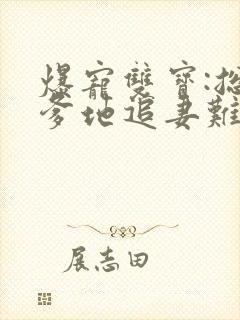 爆宠双宝:总裁爹地追妻难