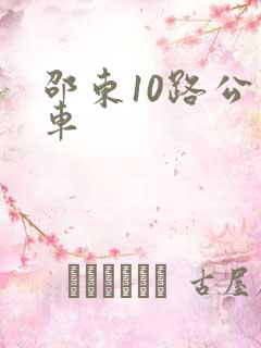 邵东10路公交车