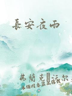 长安夜雨