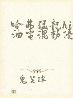 哈弗猛龙hi4油电混动优缺点