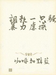 调教一只骚母狗暴力虐操