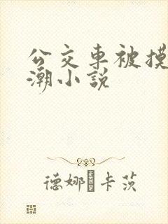 公交车被摸到高潮小说