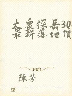 大众探岳300最新落地价