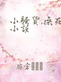小骚货,操死你小说