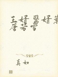 王婿 医婿叶凡唐若雪