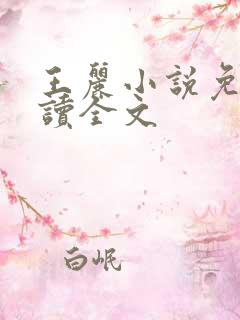 王丽小说免费阅读全文