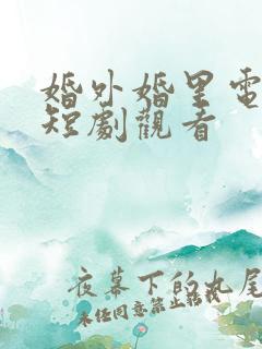 婚外婚里电视剧短剧观看