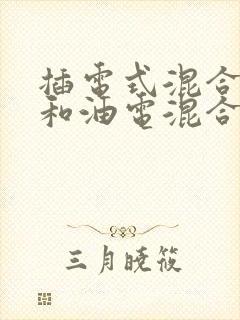 插电式混合动力和油电混合哪个好