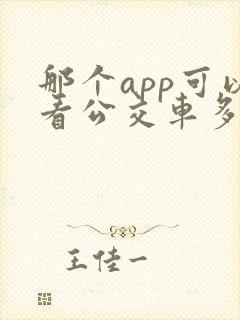 那个app可以看公交车多久到站的软件