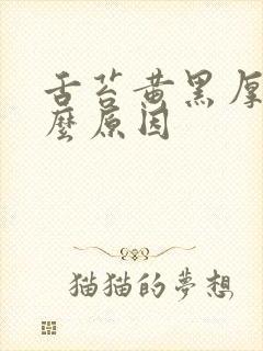 舌苔黄黑厚腻什么原因