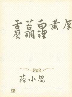 舌苔白黄厚腻怎么调理