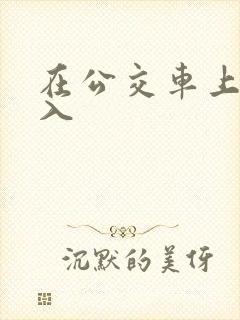 在公交车上被插入