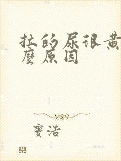 拉的尿很黄是什么原因
