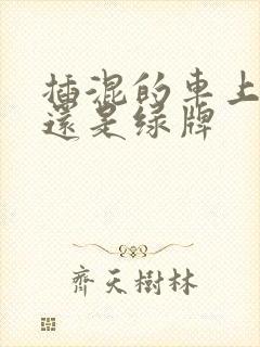 插混的车上蓝牌还是绿牌
