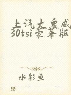 上汽大众威然330tsi豪华版报价