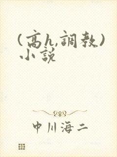 (高h,调教)小说