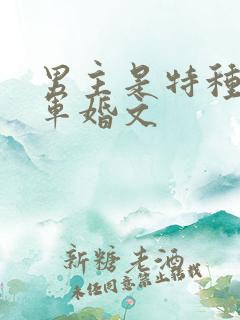 男主是特种兵的军婚文