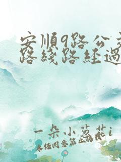 安顺9路公交车路线路经过哪些站