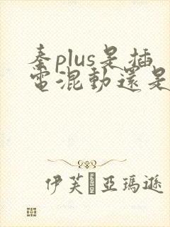 秦plus是插电混动还是油电混动