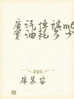广汽传祺m6真实油耗多少