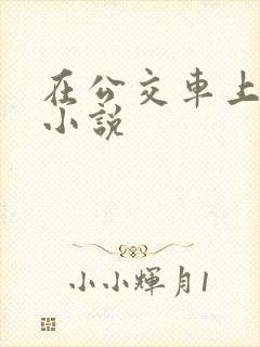 在公交车上被强小说