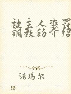 被主人惩罚玩弄调教的介绍