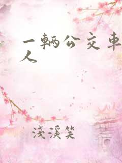 一辆公交车多少人
