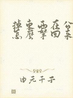掉东西在公交车怎么拿回来