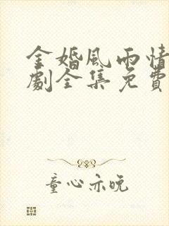 金婚风雨情电视剧全集免费观看